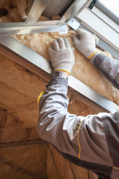 Best Specialized Insulation Services in Downey, CA
